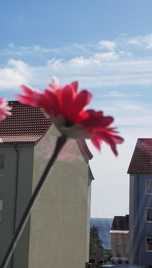 Apartment Deichkrone Sassnitz Exterior foto
